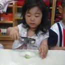 소정몬테소리어린이집 이미지