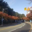 의지의꽃길기념비 이미지