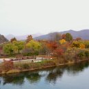 영화조경 이미지