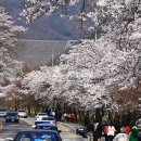 춘천기상대 이미지