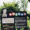 펄벅여사 무지개길 이미지