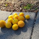 덕발어린이공원 이미지