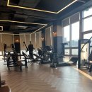 스미스라이프(Smith Life) | 세종 헬스장 프라임피트니스 후기 / 운동 후 요아정 반값 행사 기념 요거트 월드(?)