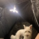 삼척 원평해수욕장, 속초시장 여행기 1탄