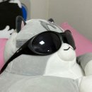 [내돈내산] 오클리 러닝 고글 : 아이자켓 리덕스 블랙 / 착용 후기