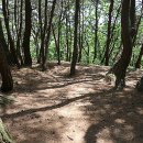 전망바위 이미지