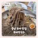 부여군청 | 충남 부여 맛집 부여막국수 | 궁남지 맛집으로 유명 당일치기 들기름막국수 비빔막국수 비교