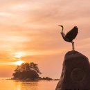 스테이 21 이미지