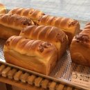 한나식빵 이미지