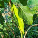 서희농장 이미지