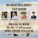 샤인모어 이미지