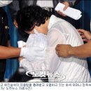 유골함 모아
