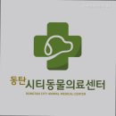 동탄시티동물의료센터