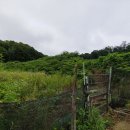 분당-70 이미지