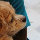 나눔동물병원 이미지