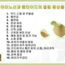 라미직구 이미지