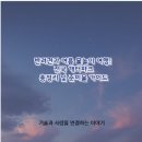 개터 | 반려견과 여름 물놀이 여행! 전국 개터파크 총정리 및 준비물 가이드