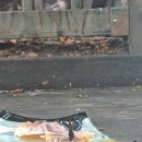 군자성황사지 이미지