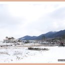 허브밸리(축제장) 이미지