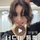 하희가헤어 - 남동구 도림로49번길 7-8 | 하희가헤어