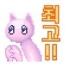 파티이머지