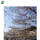 국윤미술관 이미지