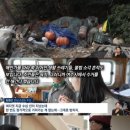 국동항내화장실 이미지