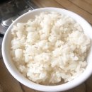 순천 맛집 추천 - 순천 찌개앤찜, 춘천마쪼은닭갈비