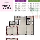 국화한신 이미지