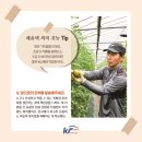 안씨농장 이미지