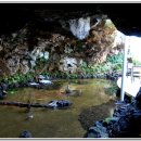 그린루체 이미지