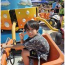 즐거운 태권도 아카데미 이미지