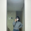 프레누 이미지