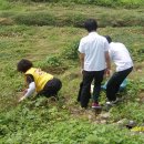 한수중학교 이미지