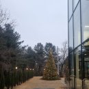 레포레스트(REFOREST) 이미지
