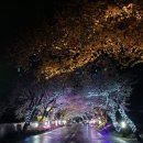 디딤돌펜션민박 | 제주도 민박 애월장전1038