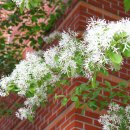 구암성당 앞 이미지