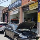 대덕카서비스 이미지