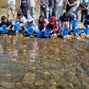 사포초등학교 이미지