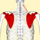 홍제한의원 이미지
