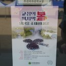 부산여자중학교 이미지