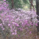 해법 행정사사무소 이미지