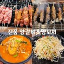 진품양갈비&양꼬치 | [안성] 공도 양꼬치맛집 진품 양갈비&양꼬치 내돈내산