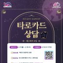 타로카드상담 이미지