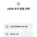 이심