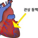 휴대용 산소발생기 설치 후기 / 산소발생기 임대 업체 홈 케어 전문 회사 sk메디케어 1668-5276 / 당일...