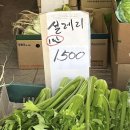 4월은 누군가의 거짓말