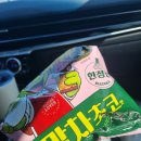 델마 | [충남태안여행기]1박2일 1일차(꼬북칩 말차초코, 행담도 휴게소, 호텔델마 후기)