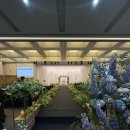 인재원 | [CJ인재원 그랜드 웨딩홀 추첨후기] 27년 상반기 일정 당첨 확률과 시식회 리얼 방문기