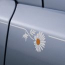 디자인데이지 이미지